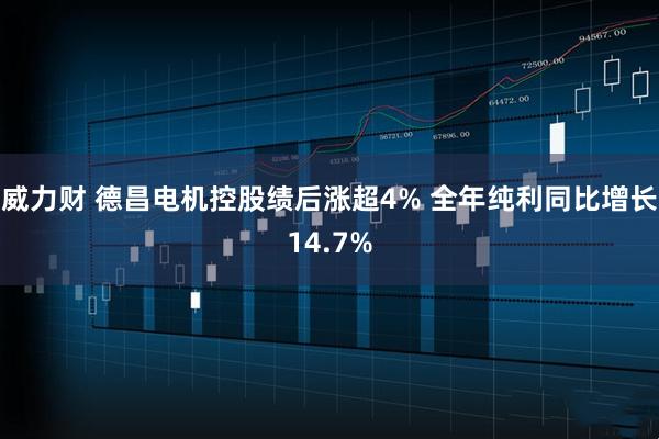 威力财 德昌电机控股绩后涨超4% 全年纯利同比增长14.7%