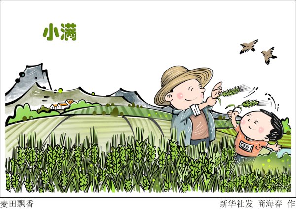 广发E配 今日小满！遍地麦花香，正是初夏好时光