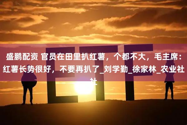 盛鹏配资 官员在田里扒红薯，个都不大，毛主席：红薯长势很好，不要再扒了_刘学勤_徐家林_农业社